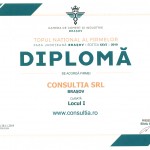 Consultia SRL Top Afaceri Locul 1